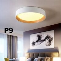 Climate Vouchers Promotion 4 Sets Of Ceiling Light Includes Installation $0 Free After $300 Climate Vouchers - Image 9